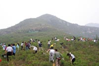 東芝（中國）2007年度公益植樹(shù)助學(xué)活動(dòng)